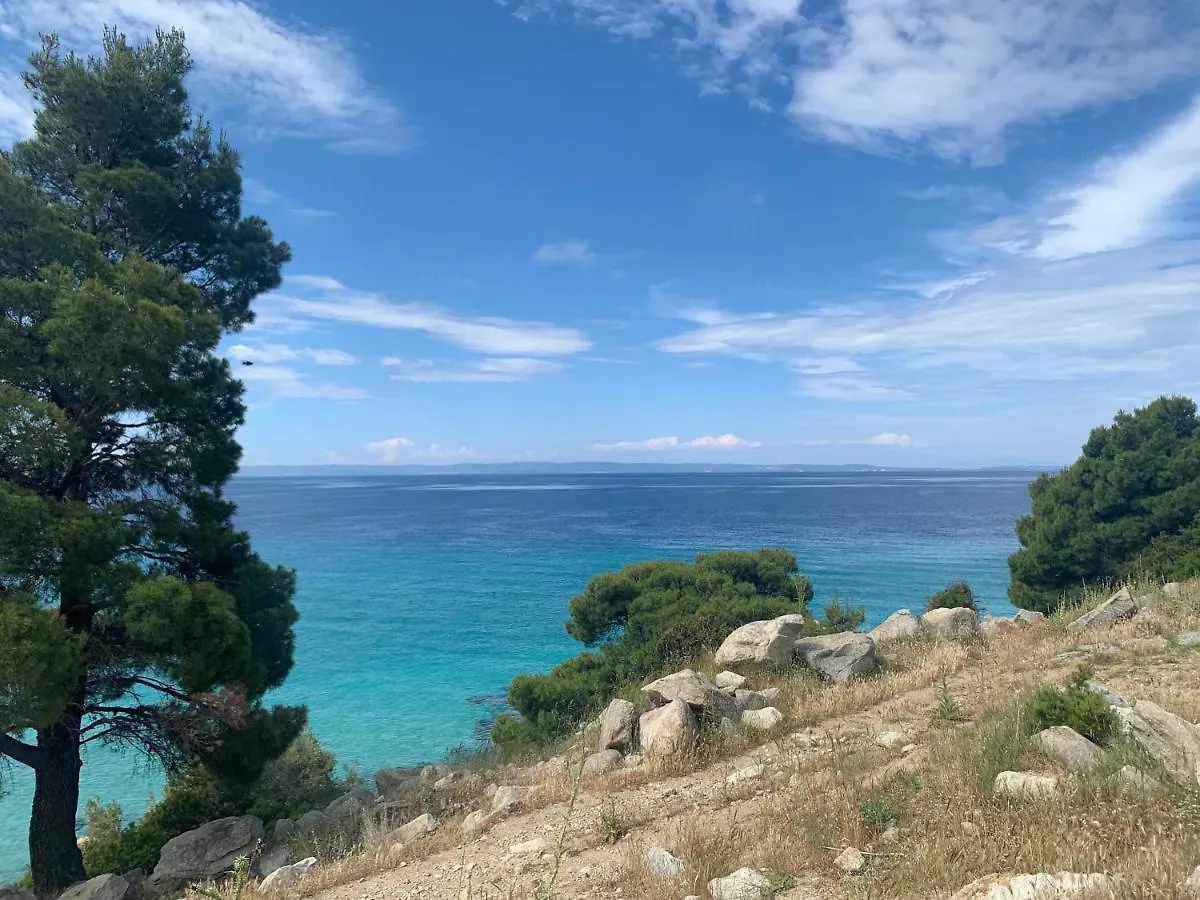 Niovi Villas Nikiti
